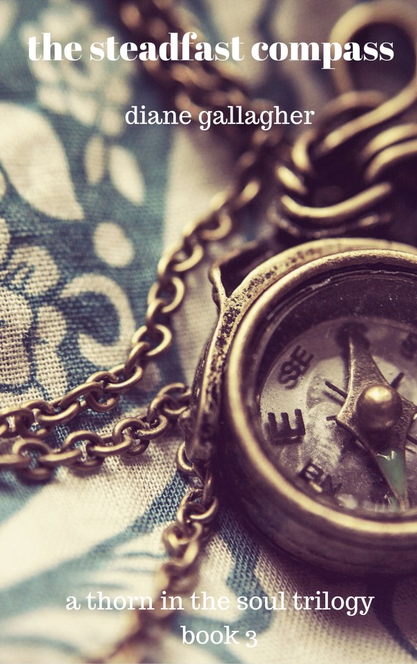 the-steadfast-compass1